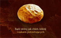 捐助面包，波兰网站